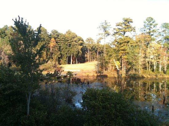 Hedingham Golf Club